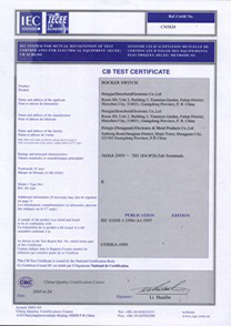 船型開關(guān)R系列CB證書