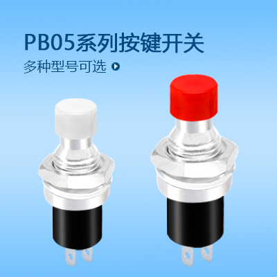 按鍵開(kāi)關(guān)PB05系列